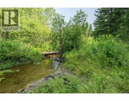 729 Route 260, Saint Quentin, NB E8A2L7 Photo 39