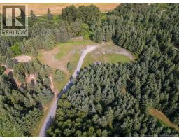 729 Route 260, Saint Quentin, NB E8A2L7 Photo 49