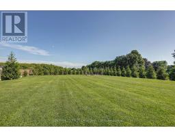 35681 Talbot Line, Southwold, ON N0L2E0 Photo 45