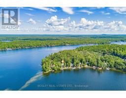 88 Anne Drive, Trent Lakes, ON K0M2A0 Photo 49