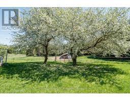 2553 County Road 42, Clearview, ON L0M1S0 Photo 32