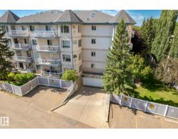 #309 13450 114 Av Nw, Edmonton, AB T5M4C4 Photo 51