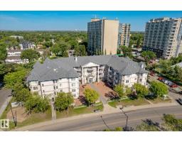 #309 13450 114 Av Nw, Edmonton, AB T5M4C4 Photo 53