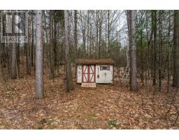 11 Campbell Court, Springwater, ON L0L1V0 Photo 16