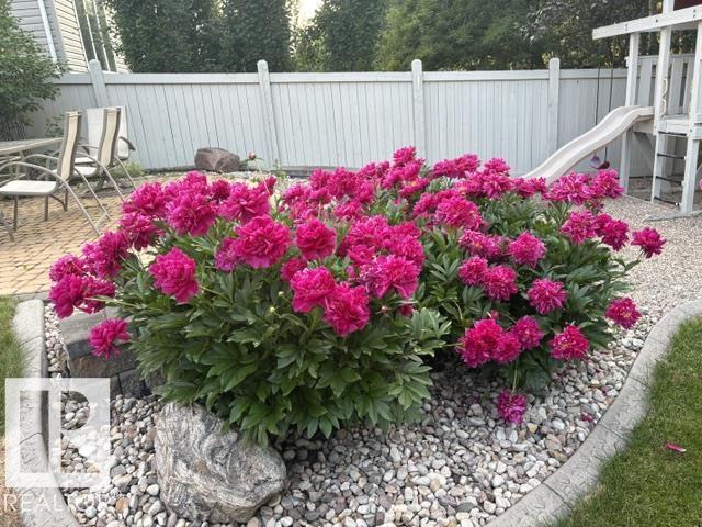 Photo 61