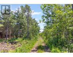 4228 O'neil Road, Ottawa, ON K0A1B0 Photo 43