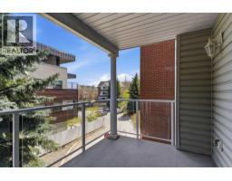 219, 2233 34 Avenue Sw, Calgary, AB T2T6N2 Photo 11