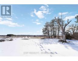 5378 Fly Road, Lincoln, ON L0R1B2 Photo 41