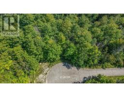 13 Windfield Drive W, Oro Medonte, ON L0L2E0 Photo 8