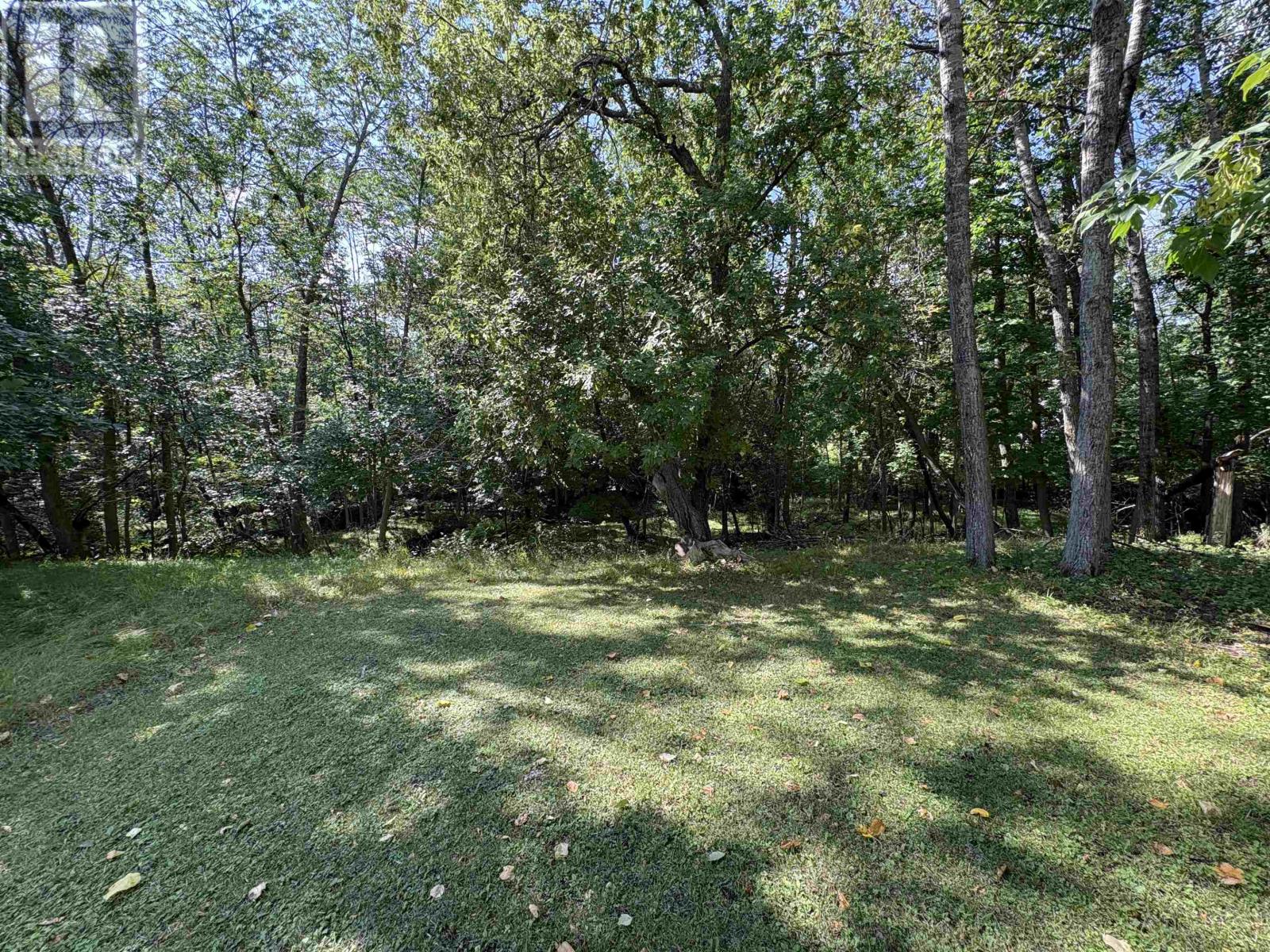 357 DANIEL AVE - Image 44
