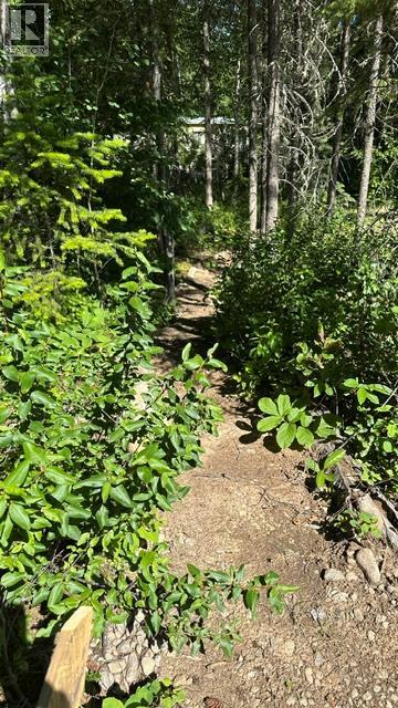 644 GROUSE CREEK Road - 20