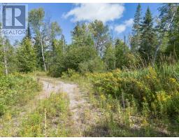 0 Mud Lake Road, Laurentian Valley, ON K8A6W4 Photo 11