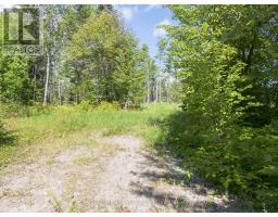 0 Mud Lake Road, Laurentian Valley, ON K8A6W4 Photo 12