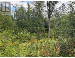 0 Mud Lake Road, Laurentian Valley, ON K8A6W4 Photo 25