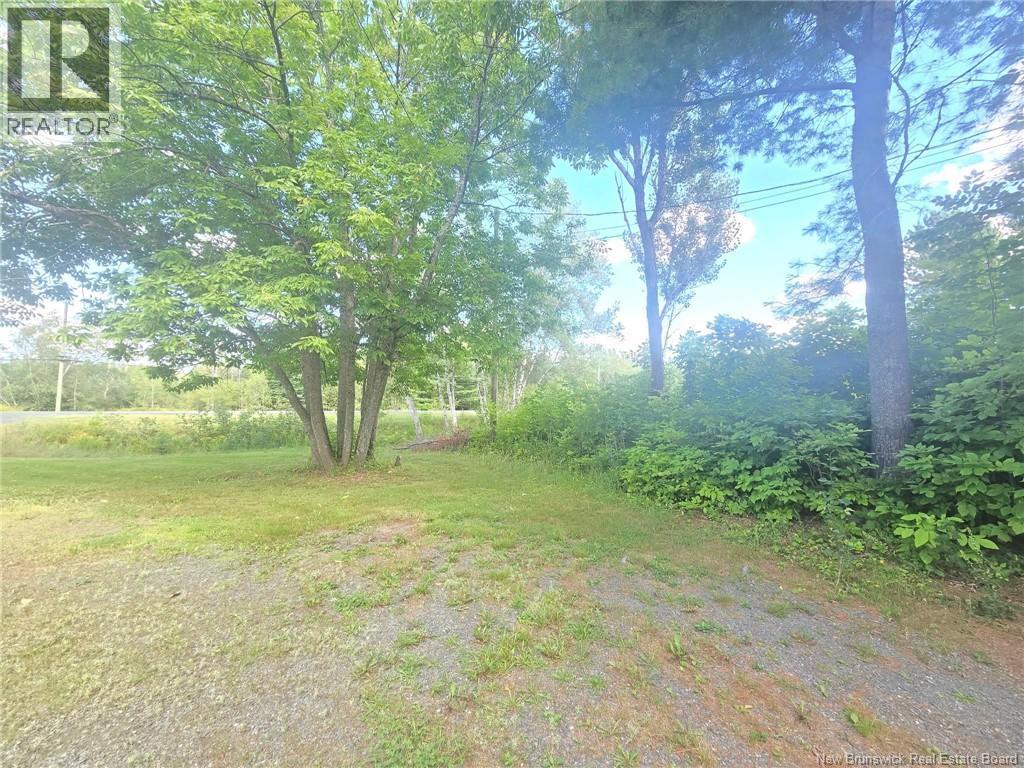 292 Nelson Street - 5