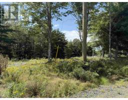 Lot 109 East Clifford Road, East Clifford, NS B4V1Y7 Photo 7