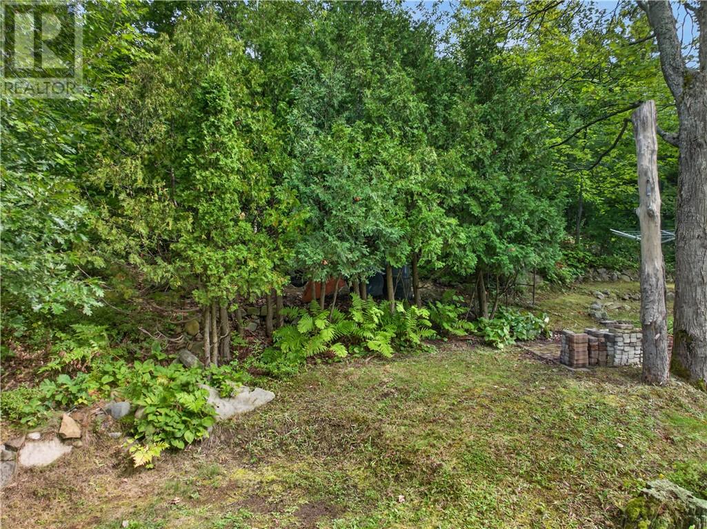 20 Delia - Image 81