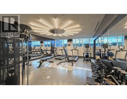 617 - 399 Spring Garden Avenue, Toronto, ON M2N3H6 Photo 43