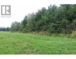 Lot 25-2 7737 Highway 321, Roslin, NS B0K1K0 Photo 10