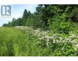 Lot 25-1 Highway 321, Roslin, NS B0K1K0 Photo 9