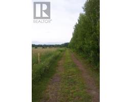 Lot 25-1 Highway 321, Roslin, NS B0K1K0 Photo 8