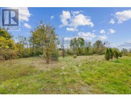 294 Lyon's Creek Road, Niagara Falls, ON L2G0S1 Photo 20