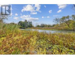 294 Lyon's Creek Road, Niagara Falls, ON L2G0S1 Photo 23