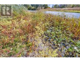 294 Lyon's Creek Road, Niagara Falls, ON L2G0S1 Photo 24