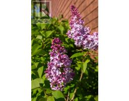 91 Townshipline Road, Weymouth, NS B0W3T0 Photo 34