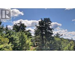 0 28 Highway E, Bancroft, ON K0L1C0 Photo 12