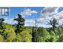 0 28 Highway E, Bancroft, ON K0L1C0 Photo 13