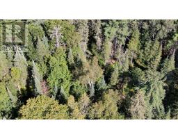 0 28 Highway E, Bancroft, ON K0L1C0 Photo 8
