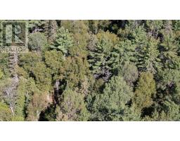 0 28 Highway E, Bancroft, ON K0L1C0 Photo 9
