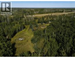 Alberta Provincial Highway 58, Rural Mackenzie County, AB T0H1Z0 Photo 6