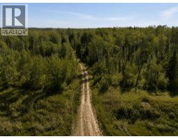 Alberta Provincial Highway 58, Rural Mackenzie County, AB T0H1Z0 Photo 13