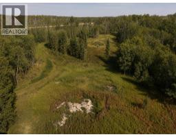 Alberta Provincial Highway 58, Rural Mackenzie County, AB T0H1Z0 Photo 9
