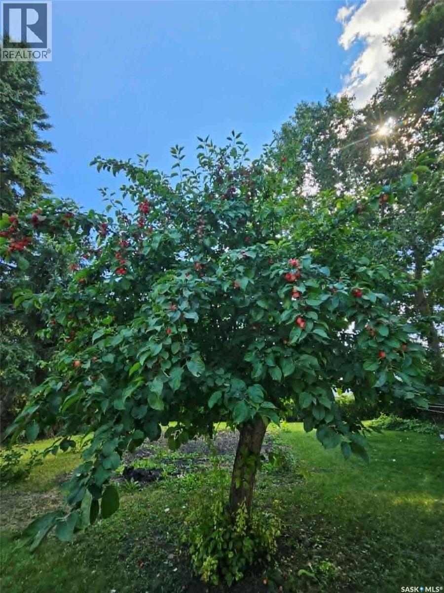 123 Riedel AVENUE W - 33