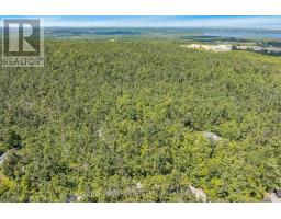 15 Scottdale Drive, Oro Medonte, ON L0L1T0 Photo 49