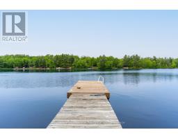 166 Myers Lake Road, Georgian Bay, ON P0C1H0 Photo 26
