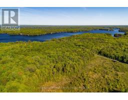 0 Dudley Road, Muskoka Lakes, ON P0B1J0 Photo 6