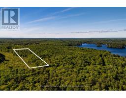 0 Dudley Road, Muskoka Lakes, ON P0B1J0 Photo 7