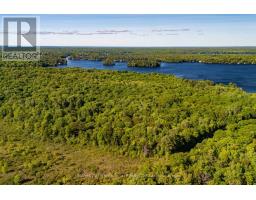 0 Dudley Road, Muskoka Lakes, ON P0B1J0 Photo 8
