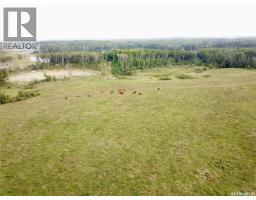 Page Pasture Half Section - N 1/2 Of 31-50-08-w3, Spiritwood Rm No  496, SK S0J2G0 Photo 7