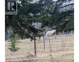 34 Lakeshore Drive, Grandview, AB T0C2V0 Photo 24
