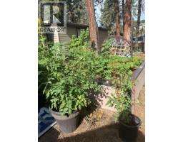 1999 Highway 97 Unit# 133, West Kelowna, BC V1Z1B2 Photo 41
