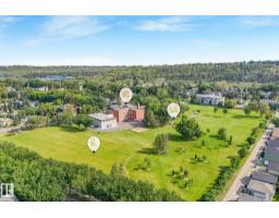 #302 9811 96a St Nw, Edmonton, AB T6A4A4 Photo 61