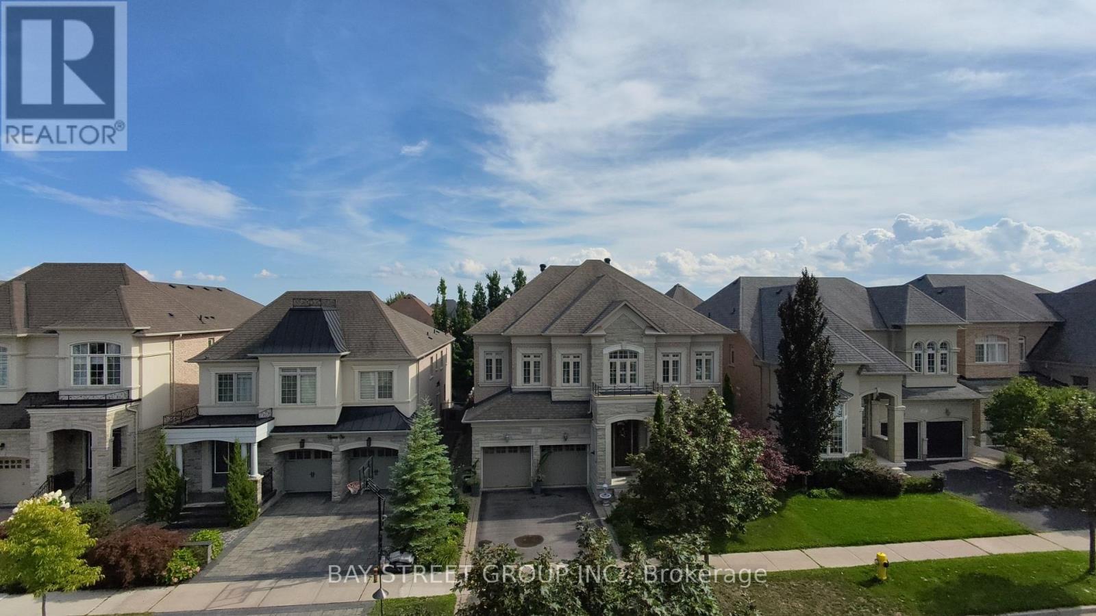 39 HARLEY DRIVE - 50