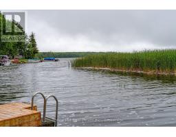 218 Wiles Lane, Grey Highlands, ON N0C1E0 Photo 16