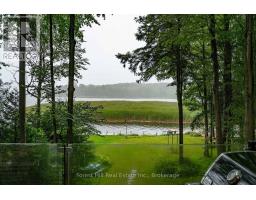 218 Wiles Lane, Grey Highlands, ON N0C1E0 Photo 22