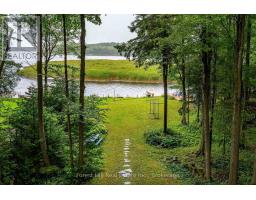 218 Wiles Lane, Grey Highlands, ON N0C1E0 Photo 6